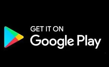Google Play商店兼容版(google play store)4